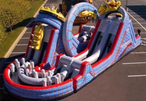 Wild One Inflatable Ride